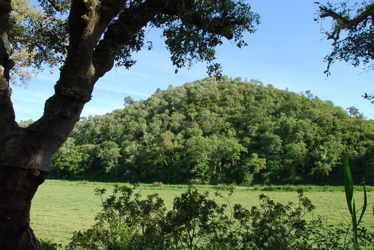 Casas Da Cerca Casa de hóspedes Troviscais Quarto foto